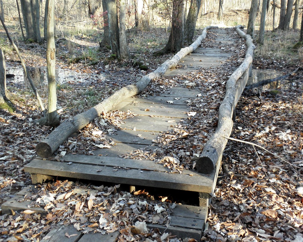 Closter Nature Center Hiking Trail, New Jersey jag9889 Flickr