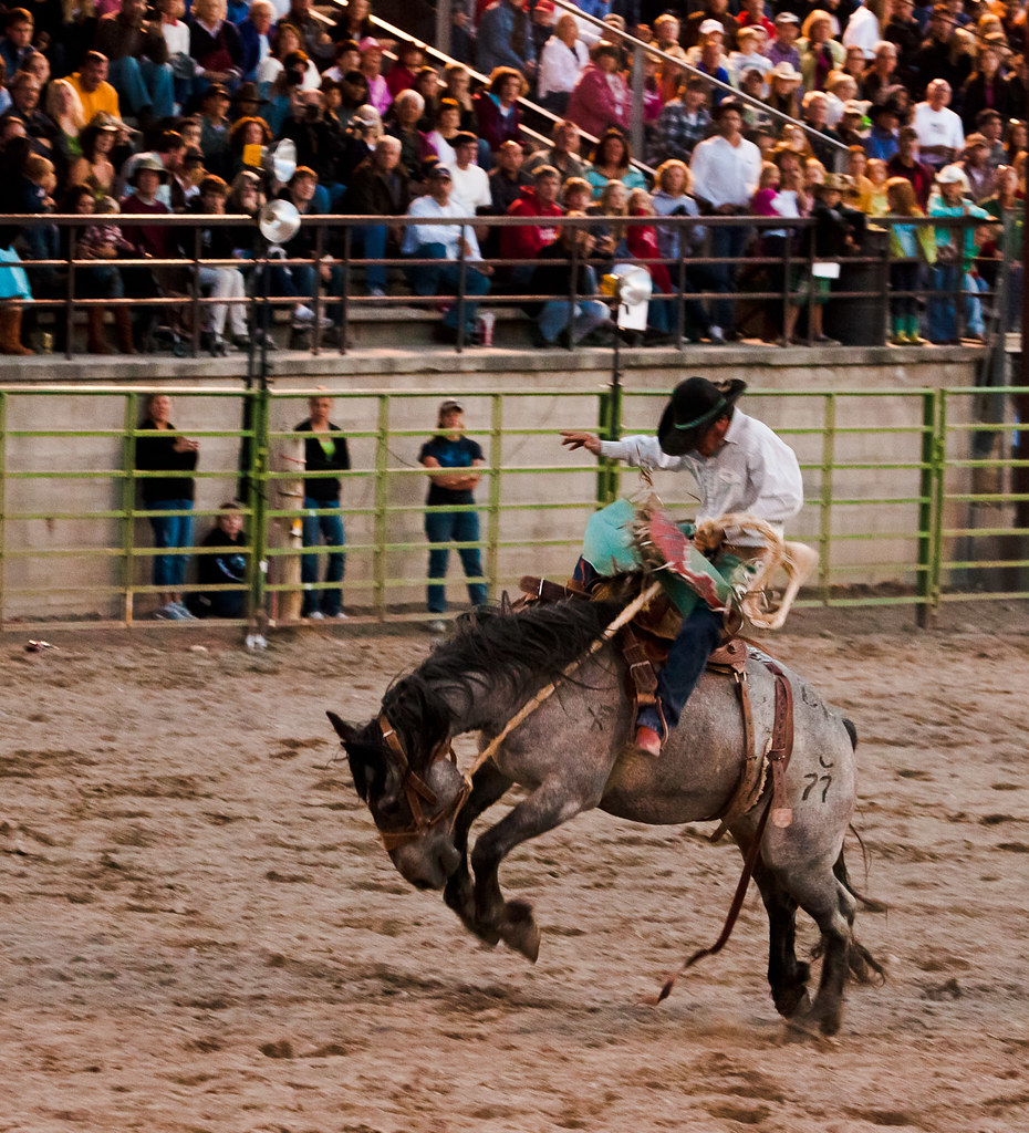 Rodeo, Jackson, Wyoming 1/200th f7.1, ISO 6400. Lightroom … Flickr