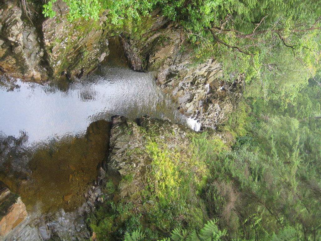 Coed y Brenin Beast Trail1 RedCraig Flickr
