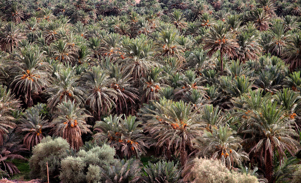zizvalleyerrachidia, Morocco Gaston Batistini Flickr