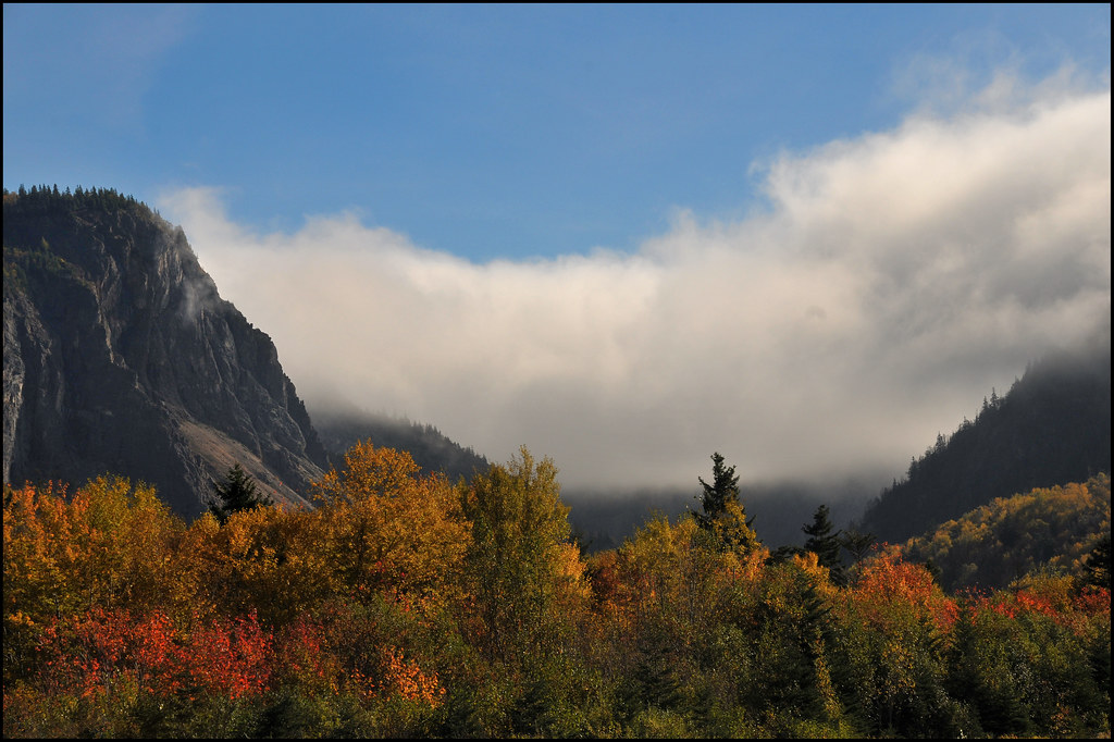 Humber Valley Autumn The Humber River runs down through th… Flickr