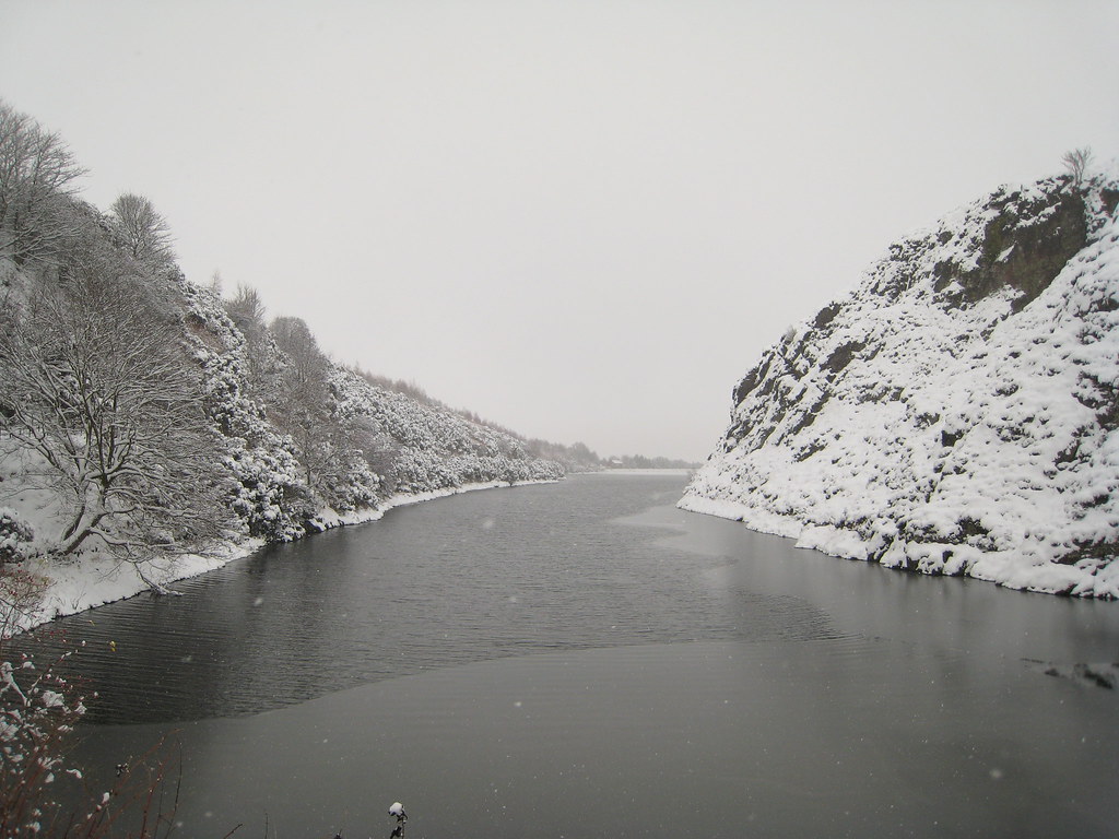 IMG_4987 Pollock Flickr