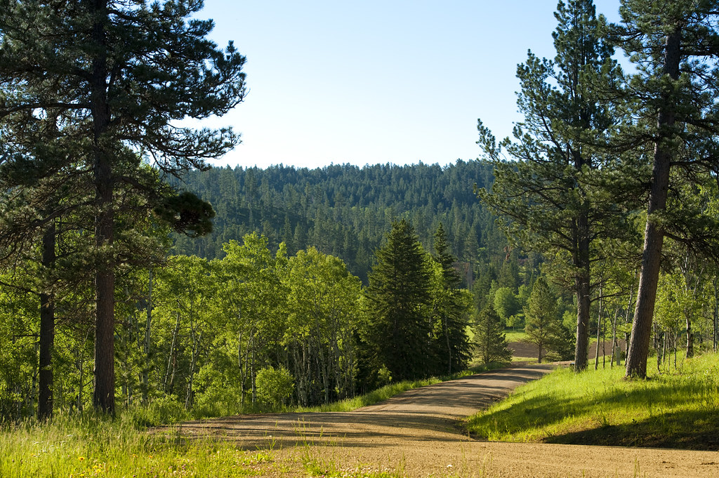 Near Lead, SD Greenview Estates Greenview Estates Flickr