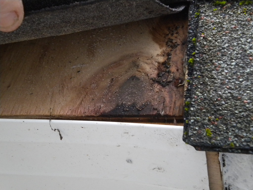 DSCN1331 Where shingles are cut too short or too close to … Flickr
