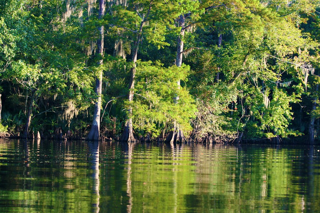 The Amite River at French Settlement French Settlement, Lo… Flickr