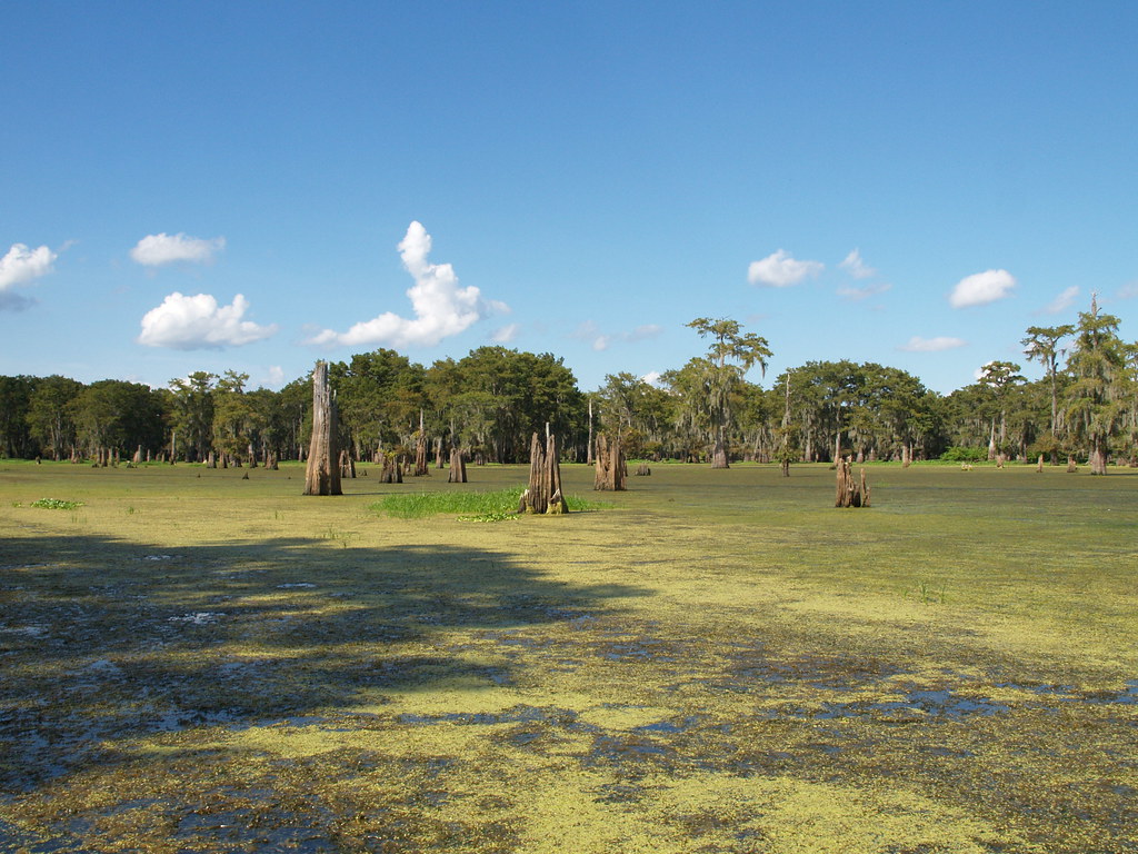 Henderson Louisiana Atchafalaya Basin nations largest swam… Flickr