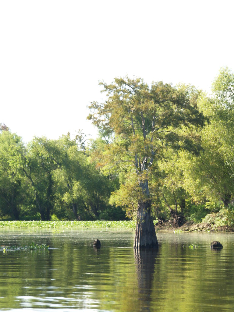 Henderson Louisiana Atchafalaya Basin nations largest swam… Flickr
