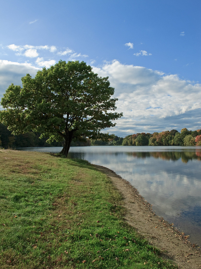 IMG_0589_edited1 Plug Pond Haverhill MA Brendan O'Neil Flickr