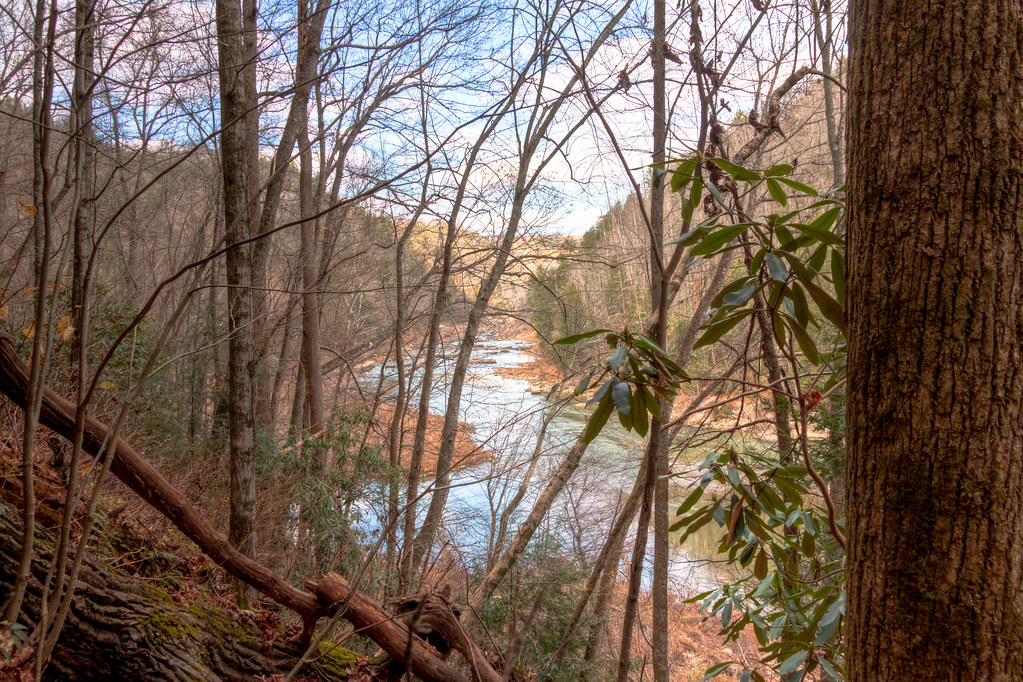 Honey Creek Honey Creek Loop Trail Big South Fork National… Flickr