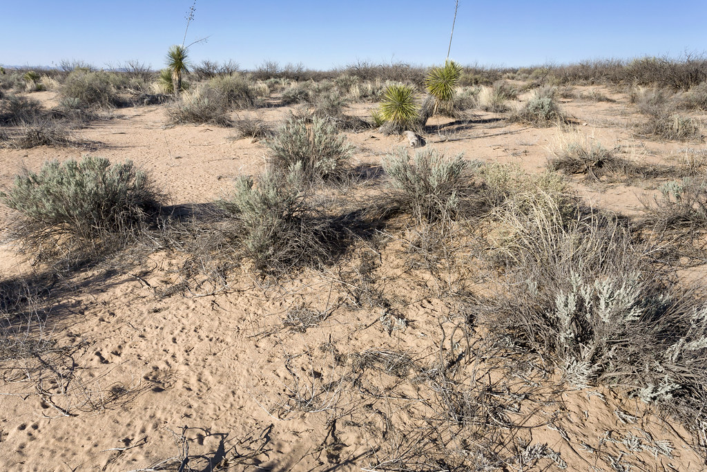 Lordsburg Mesa Lordsburg Mesa, northnortheast of Lordsbur… Flickr