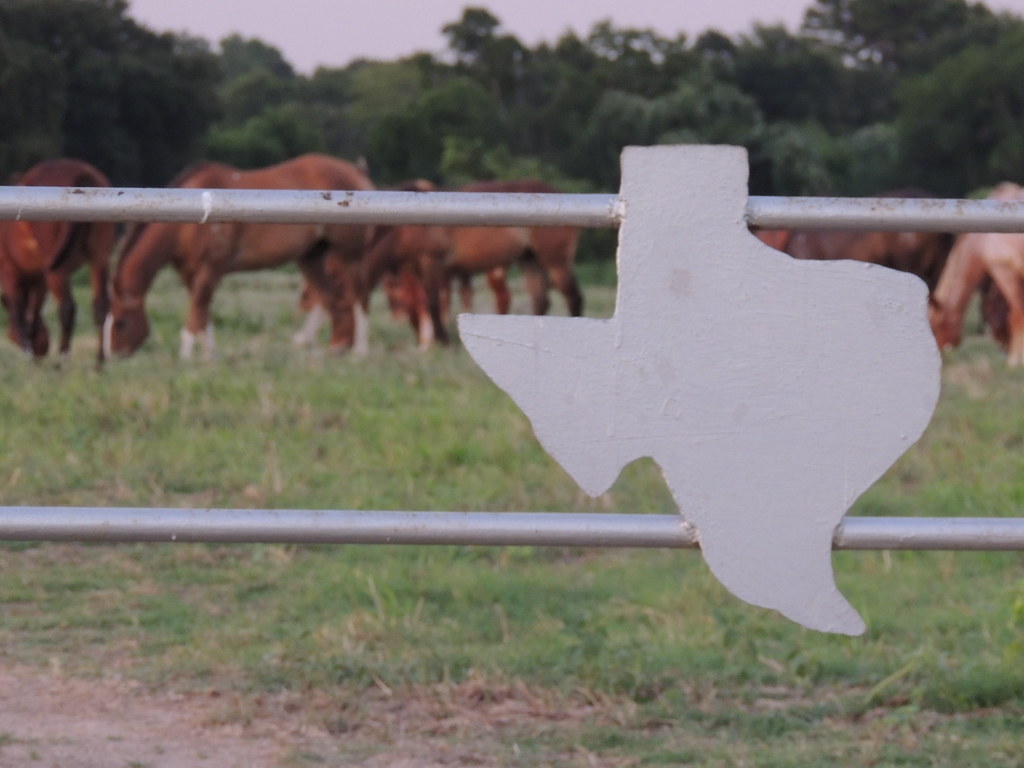 Horses of the Texas Prison System Yes the prison guards us… Flickr