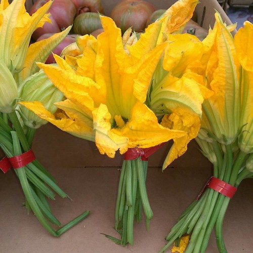 Squash blossoms at the Sonoma farmers market. food flow… Flickr