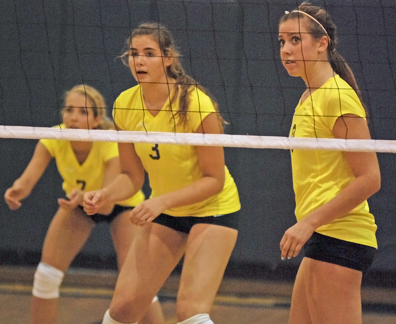 Volleyball Oregon City 3, Canby 1 Flickr