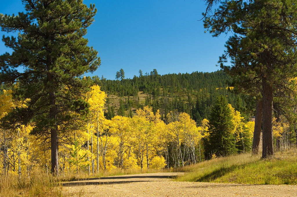 Live Here Greenview Estates Greenview Estates Flickr