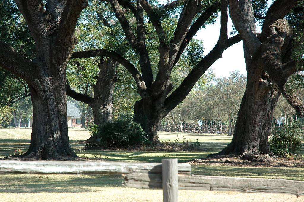 Oakland Plantation1971 Oakland Plantation Circa 1821 The … Flickr