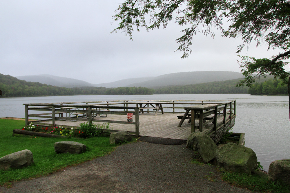 Elevation of Knickerbocker Rd, Livingston Manor, NY, USA Topographic