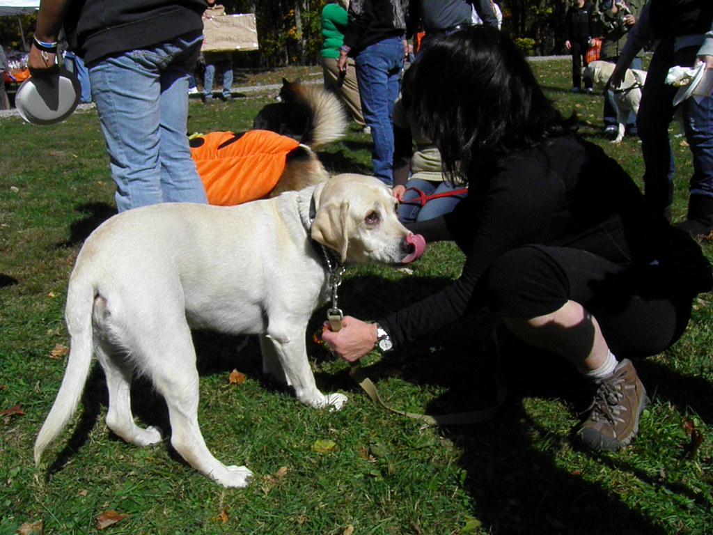 peanut butter licking contest Carol Vinzant Flickr