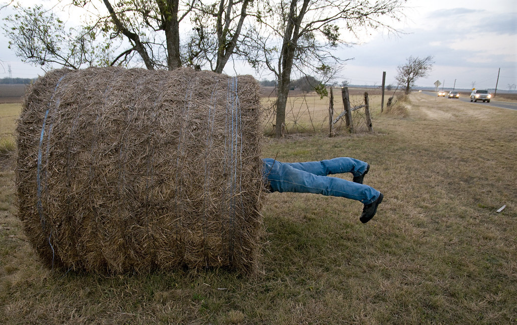 Hay Legs 101123 JONAH, TEXAS Folks driving along Texas Hi… Flickr