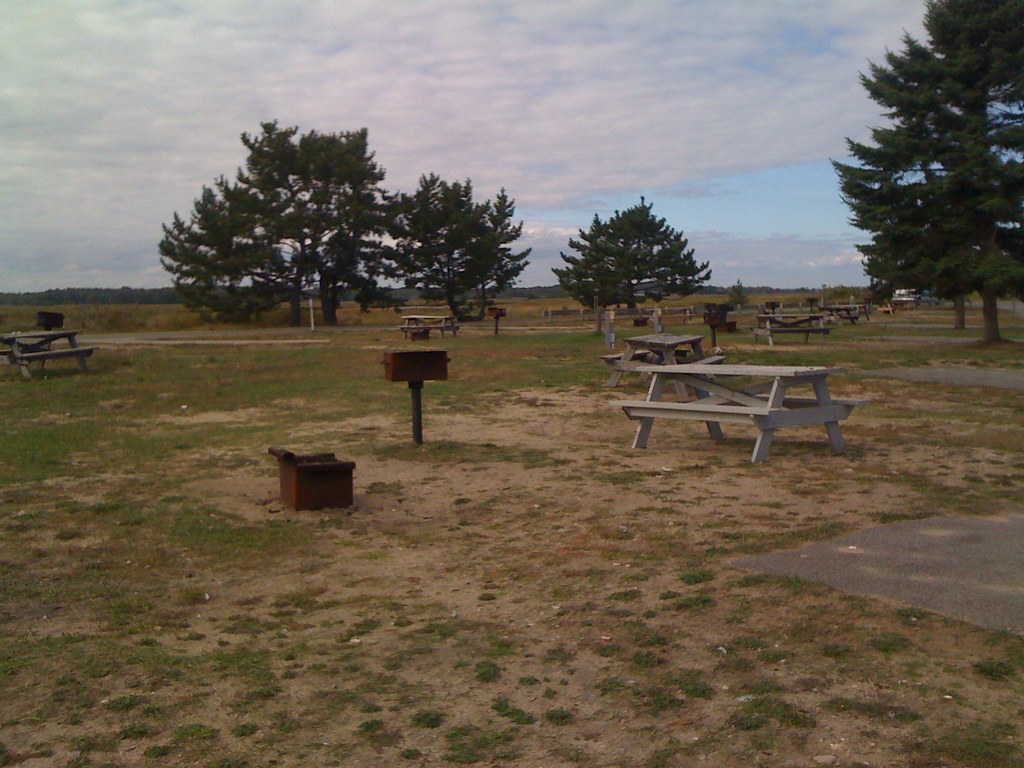 Minimally Vegetated Campgrounds of Coastal Massachusetts Flickr