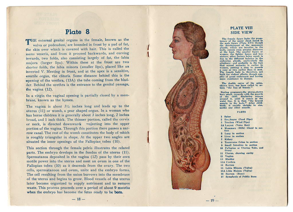 sexual study (plate8) plate 8 from The Sexual Study of the… Flickr