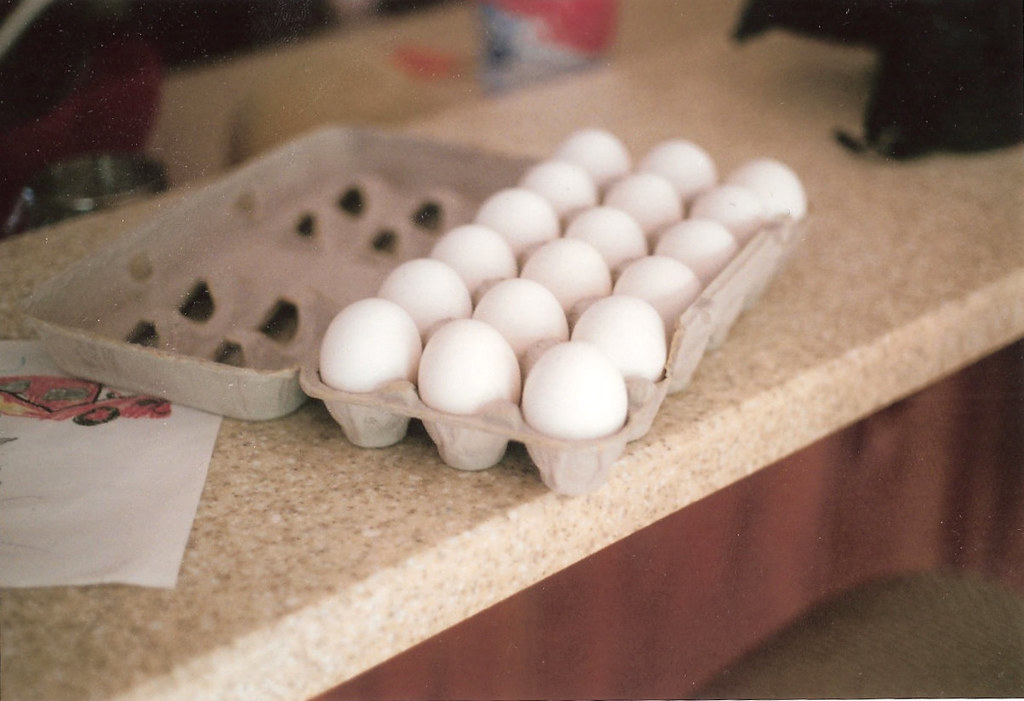 thirty eight film 'my names debbie and i like eggs' lauren welter