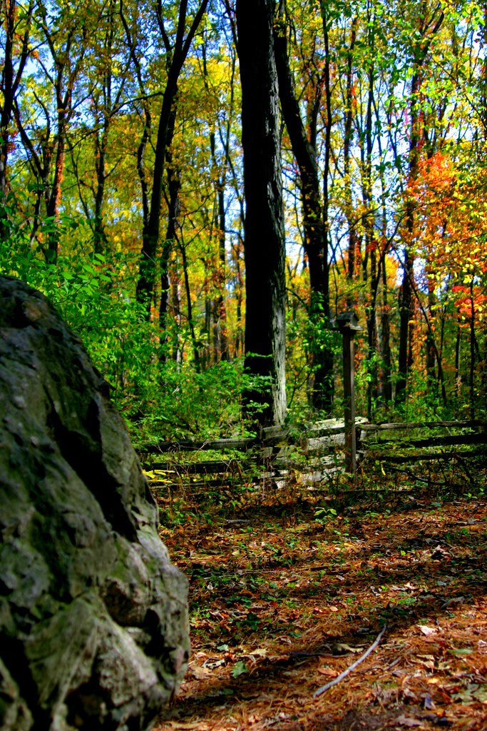 Elevation of Lake Geneva, Dewitt, MI, USA Topographic Map Altitude Map