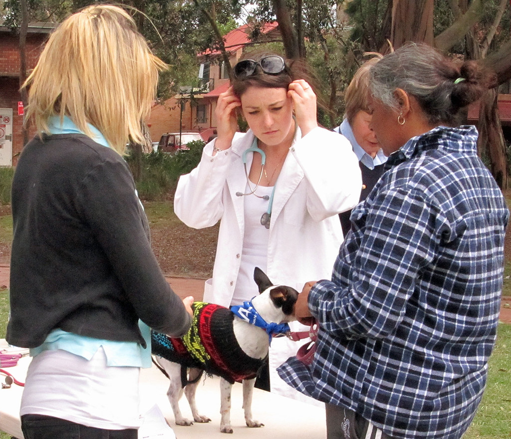 Checkup Free today. Saw plenty of dogs, no cats. Why? Newtown