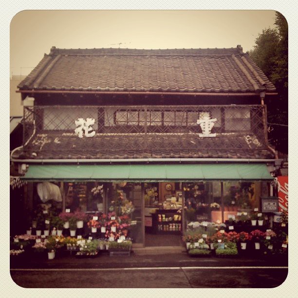 Japanese flower shop Kotaro Kokubo Flickr