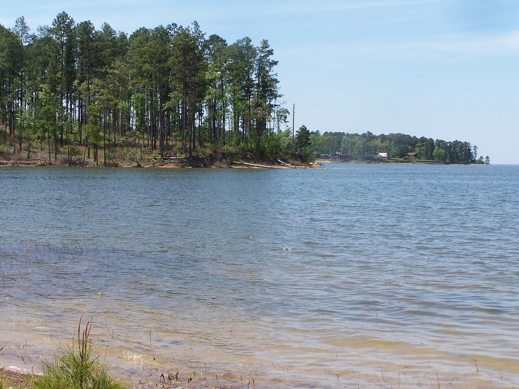 Lake A picture of Sam Rayburn Lake in Texas. Jesse Killingsworh