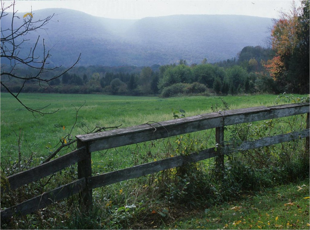 Cherry Valley National Wildlife Refuge, Eastern Pennsylvania a photo