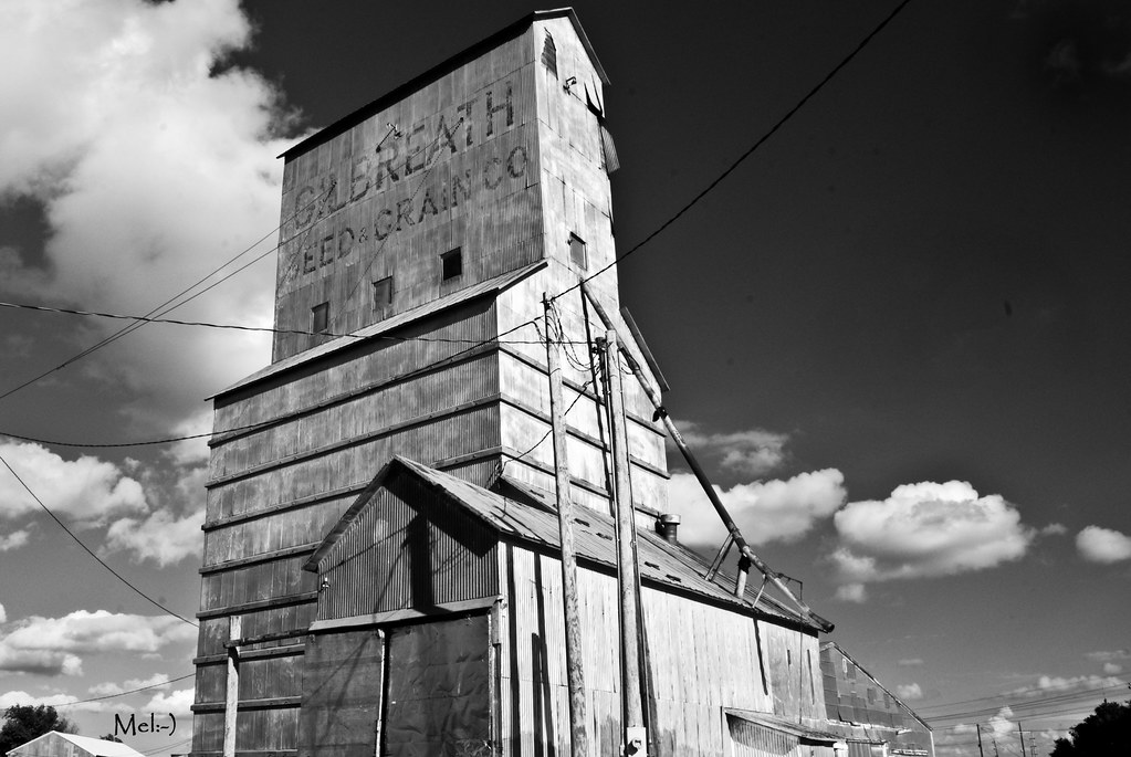 Gilbreath Seed & Grain Co. Seed and Grain mill in Muleshoe… Flickr