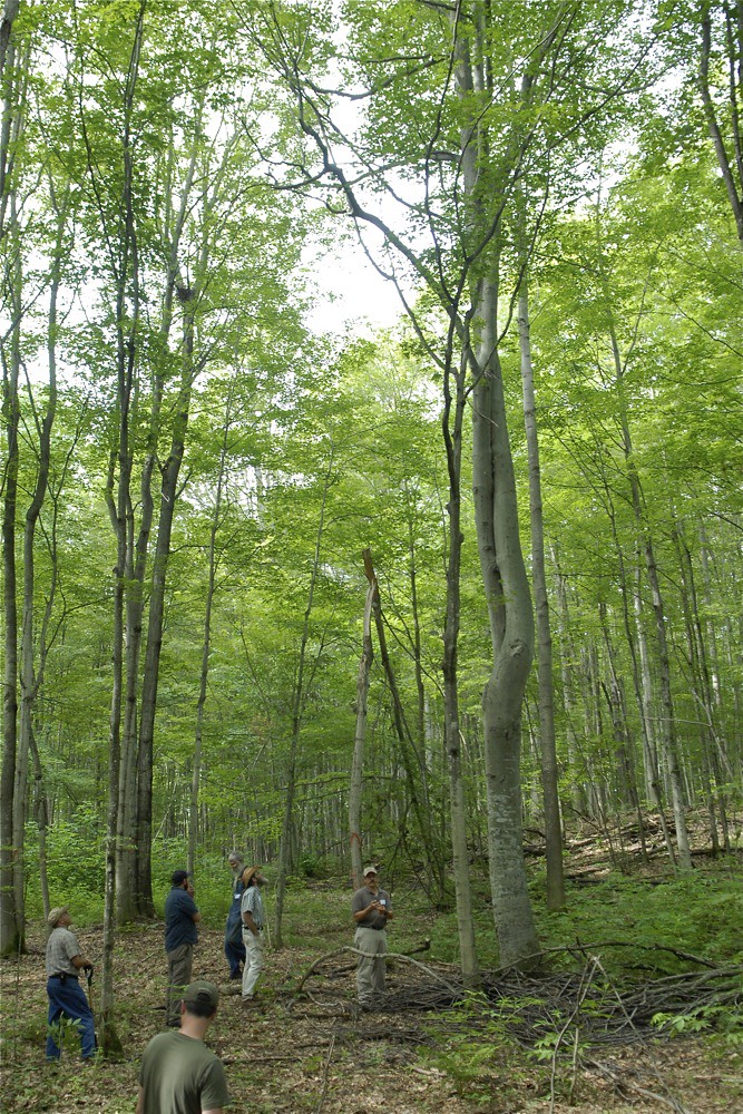 Elevation of Wilmot Township, MI, USA Topographic Map Altitude Map