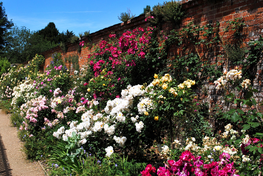 Mottisfont Abbey & Gardens The Rose Garden houses the Nati… Flickr