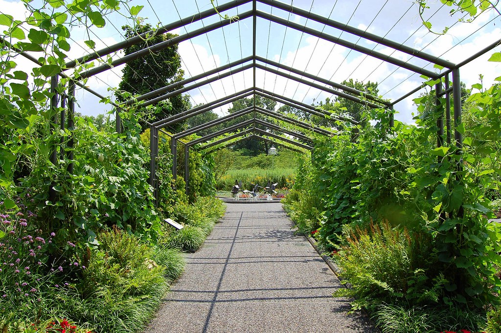 St. Louis Botanical Gardens St. Louis, Missouri Ashley Hamm