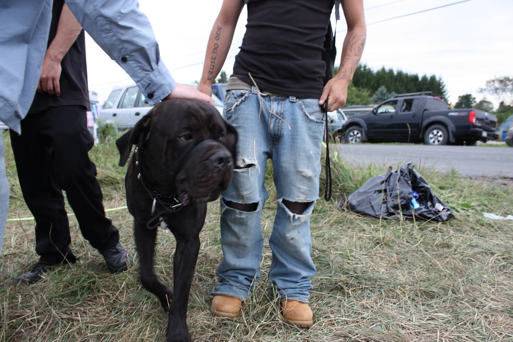 face Hector's Inn Bethel, NY lauren.k.berg Flickr