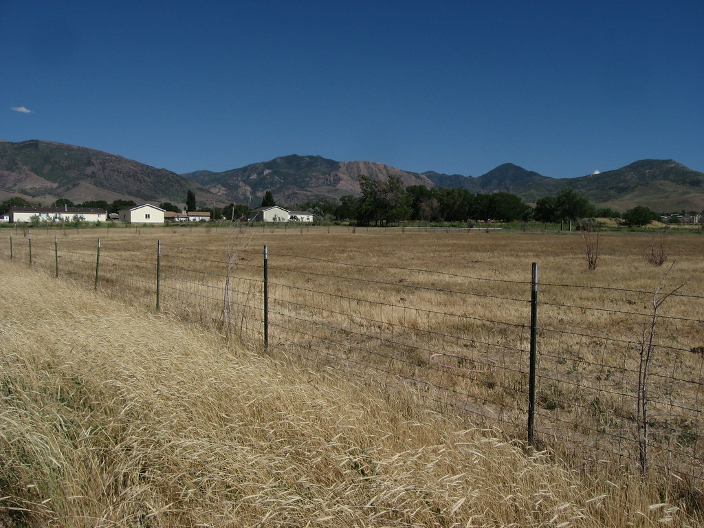 Oak City, Utah Oak City is a town in Millard County, Utah,… Flickr