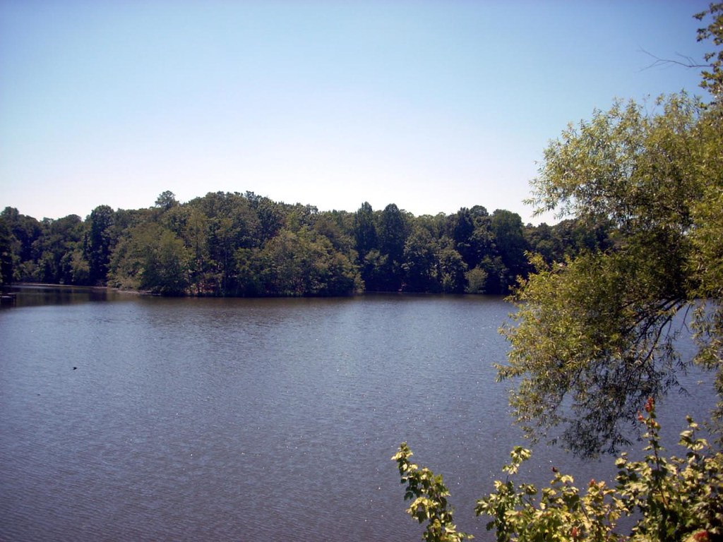 McCauleys Pond Harrington, DE Morton Fox Flickr