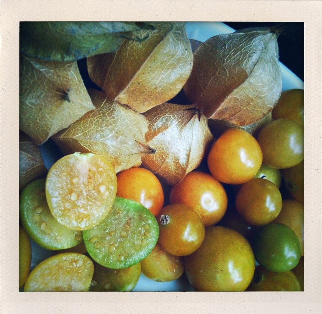 Husk cherries iPhone iTypo iSorry PictureNewYork LG Flickr