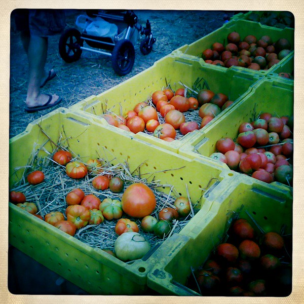 Green City Market, Chicago Chicago Green City Market