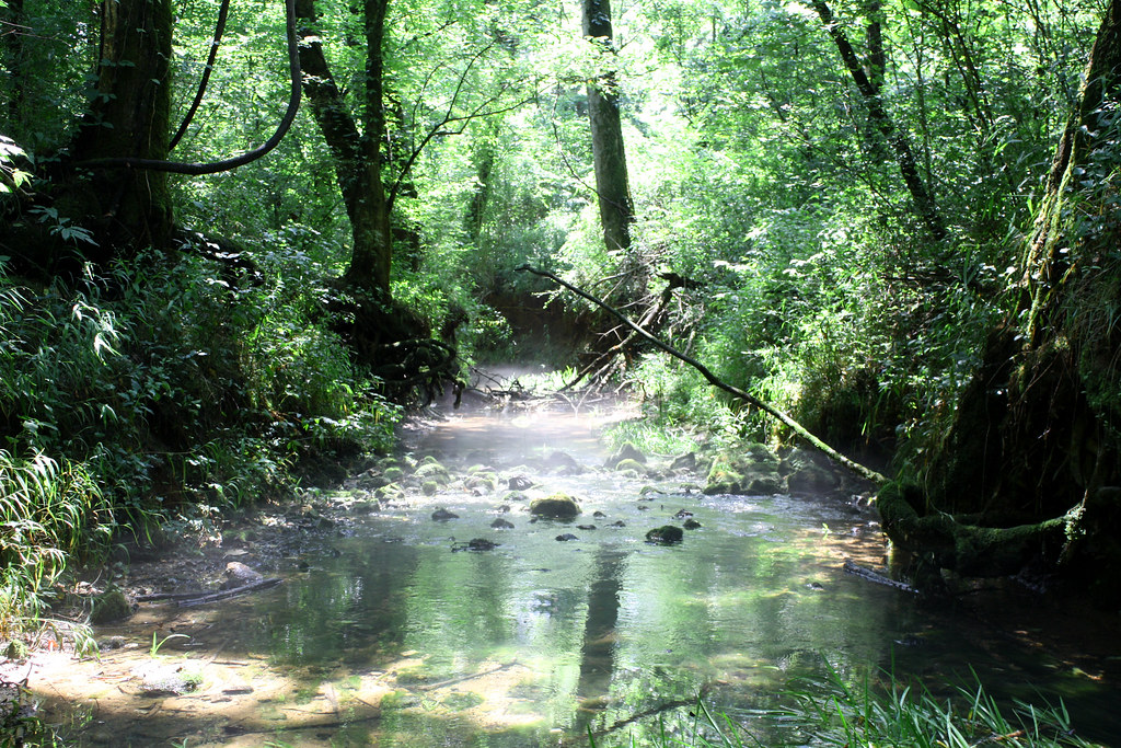 Elevation of 18 Rd, Iuka, MS, USA Topographic Map Altitude Map