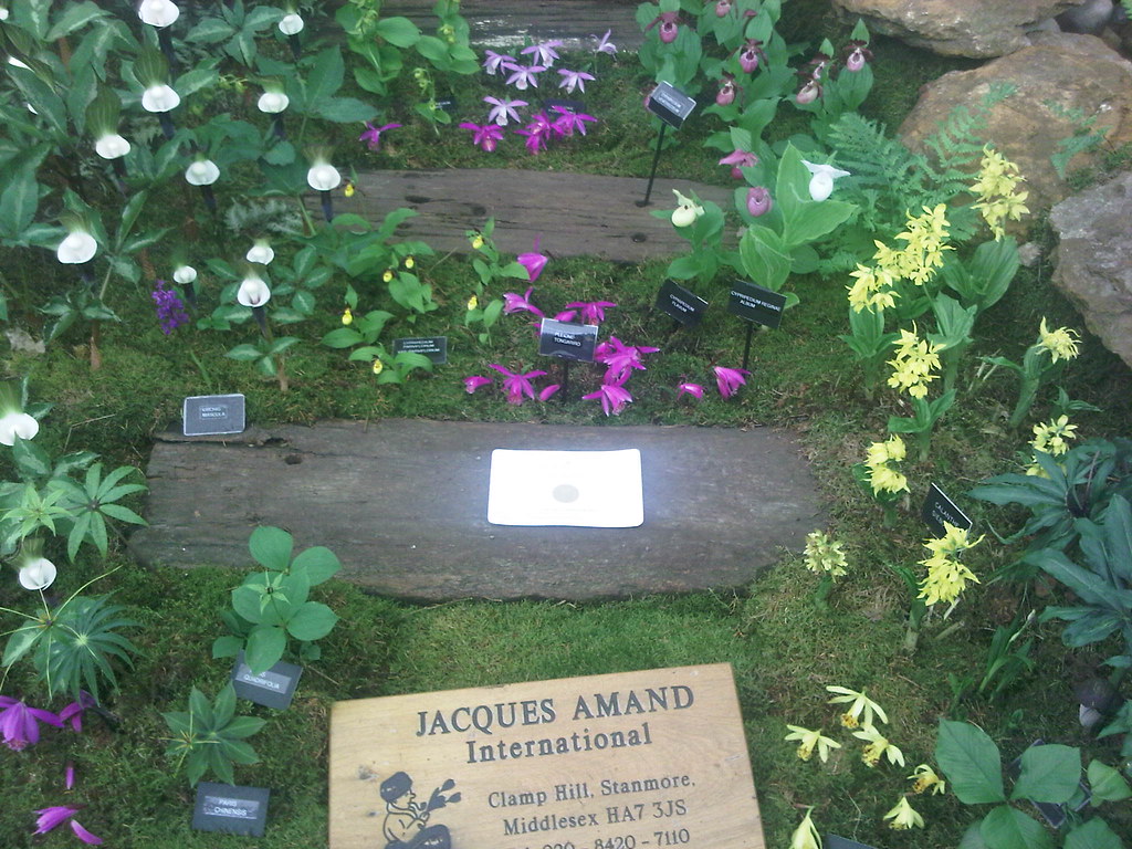 Rare specials Jacques Amand International www.jacquesamand… Alwyn