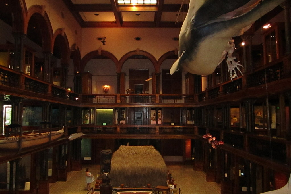 O'ahu Honolulu Museum Hawaiian Hall The Hawaii… Flickr