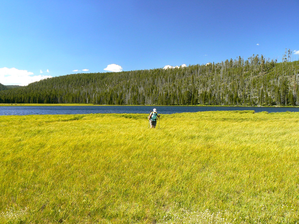 Wolf Lake Meadows These lovely meadows border Wolf Lake. Y… Flickr