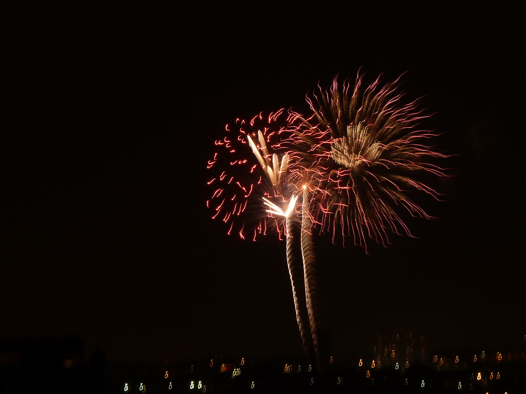 Fireworks over the Hudson These fireworks were over the Hu… Flickr