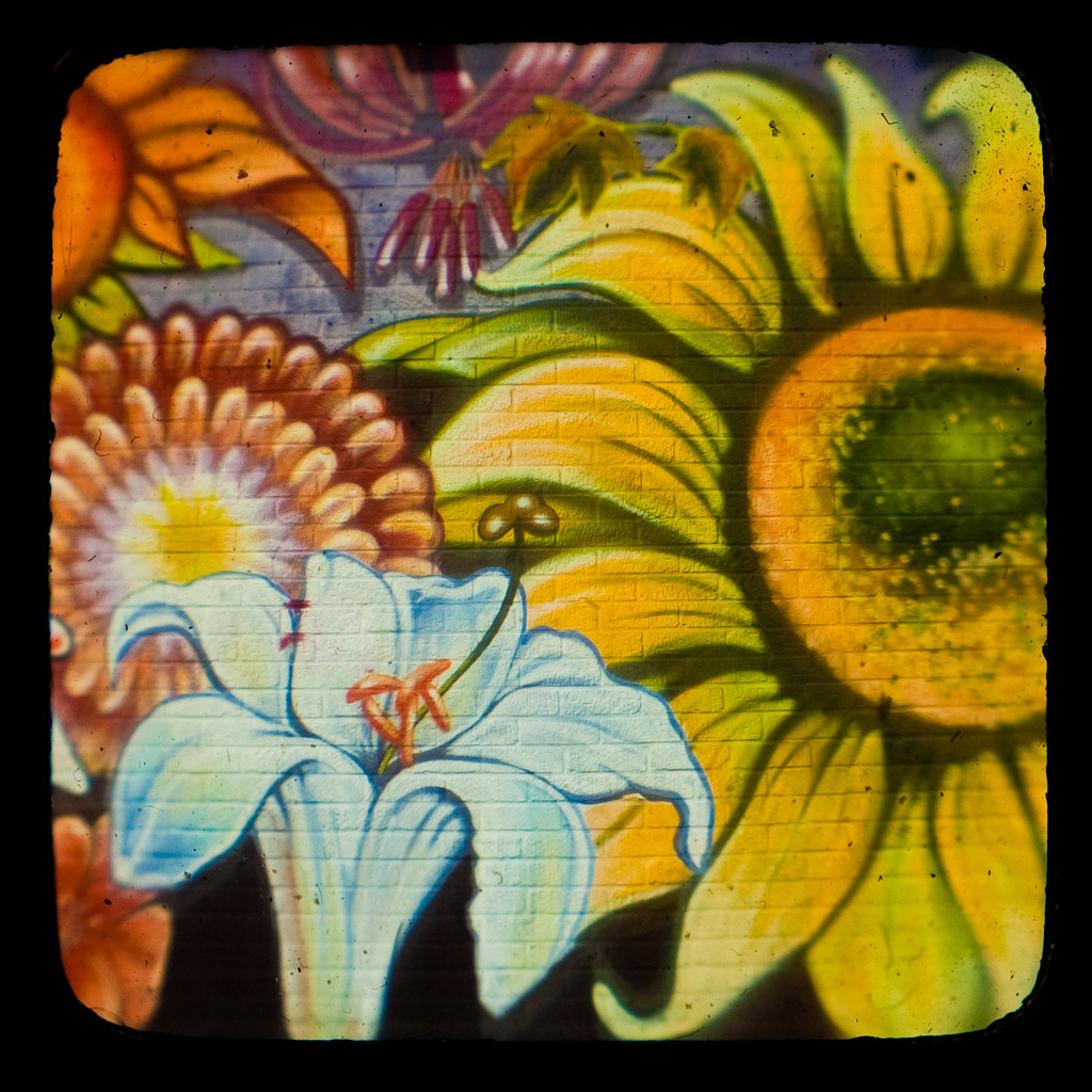 Flowers On The Wall Group shot of the flowers painted on t… Flickr