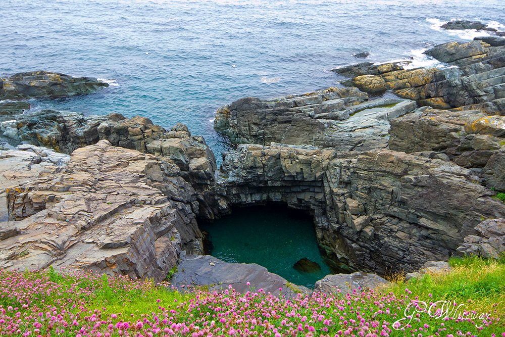 East Coast Trail Pouch Cove to Flatrock section of the tra… Flickr