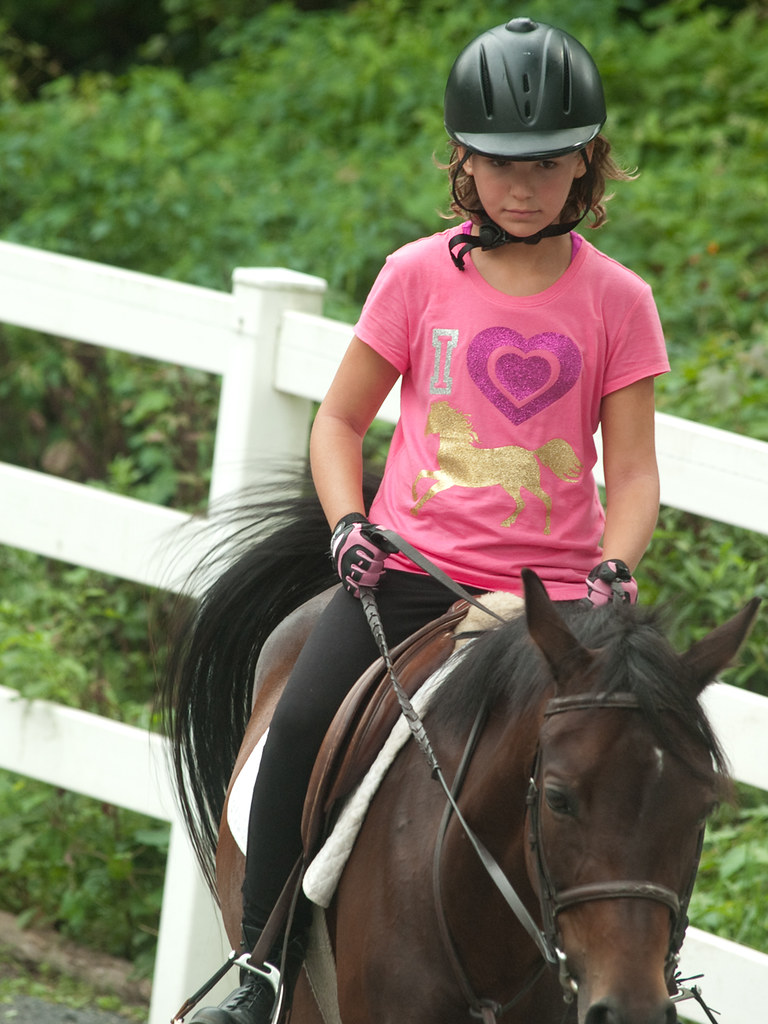 Horseback Riding Lessons Roslyn, PA Willow Grove Day C… Flickr