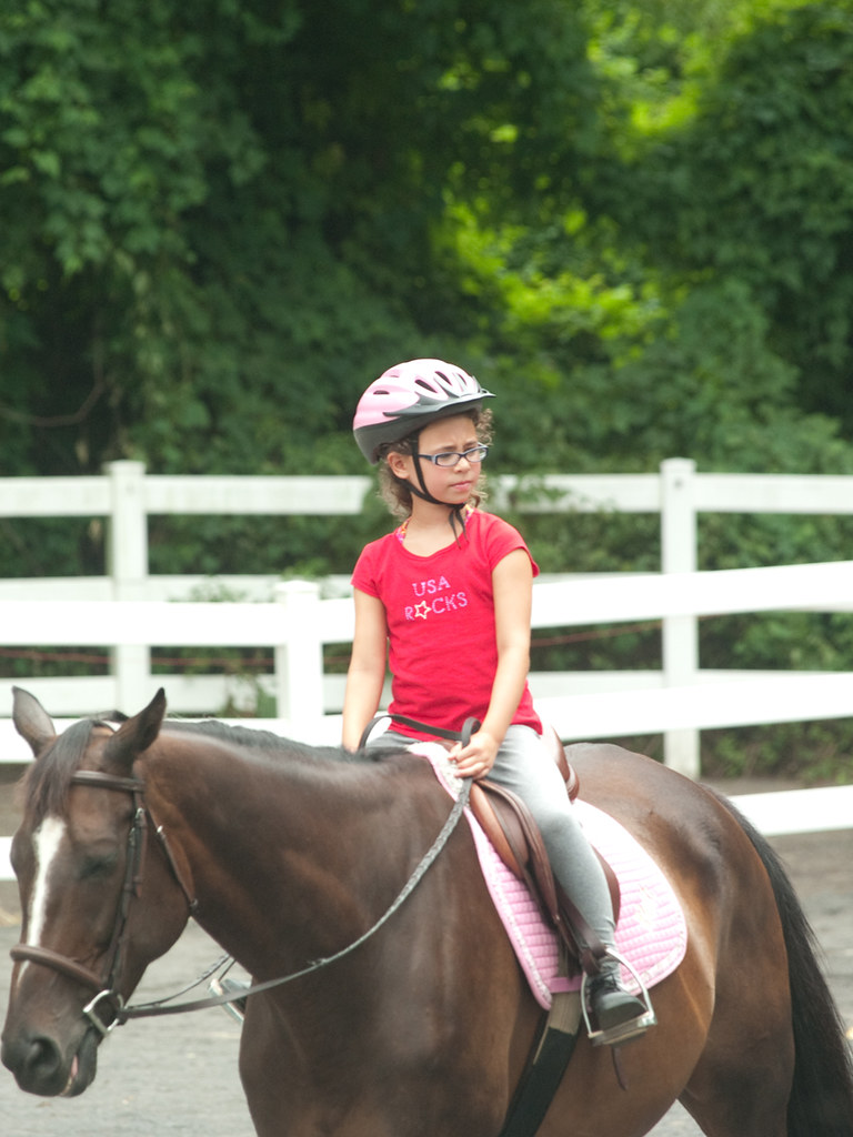Horseback Riding Willow Grove, PA Willow Grove Day Camp a photo