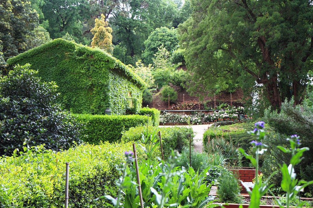 Orto botanico di Roma Botanical Gardens, Rome, Italy Flickr