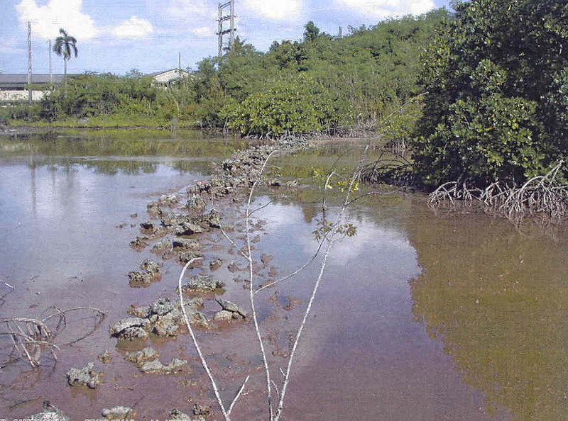 Ancient CHamoru Fish Weirs (Gigao) Guampedia